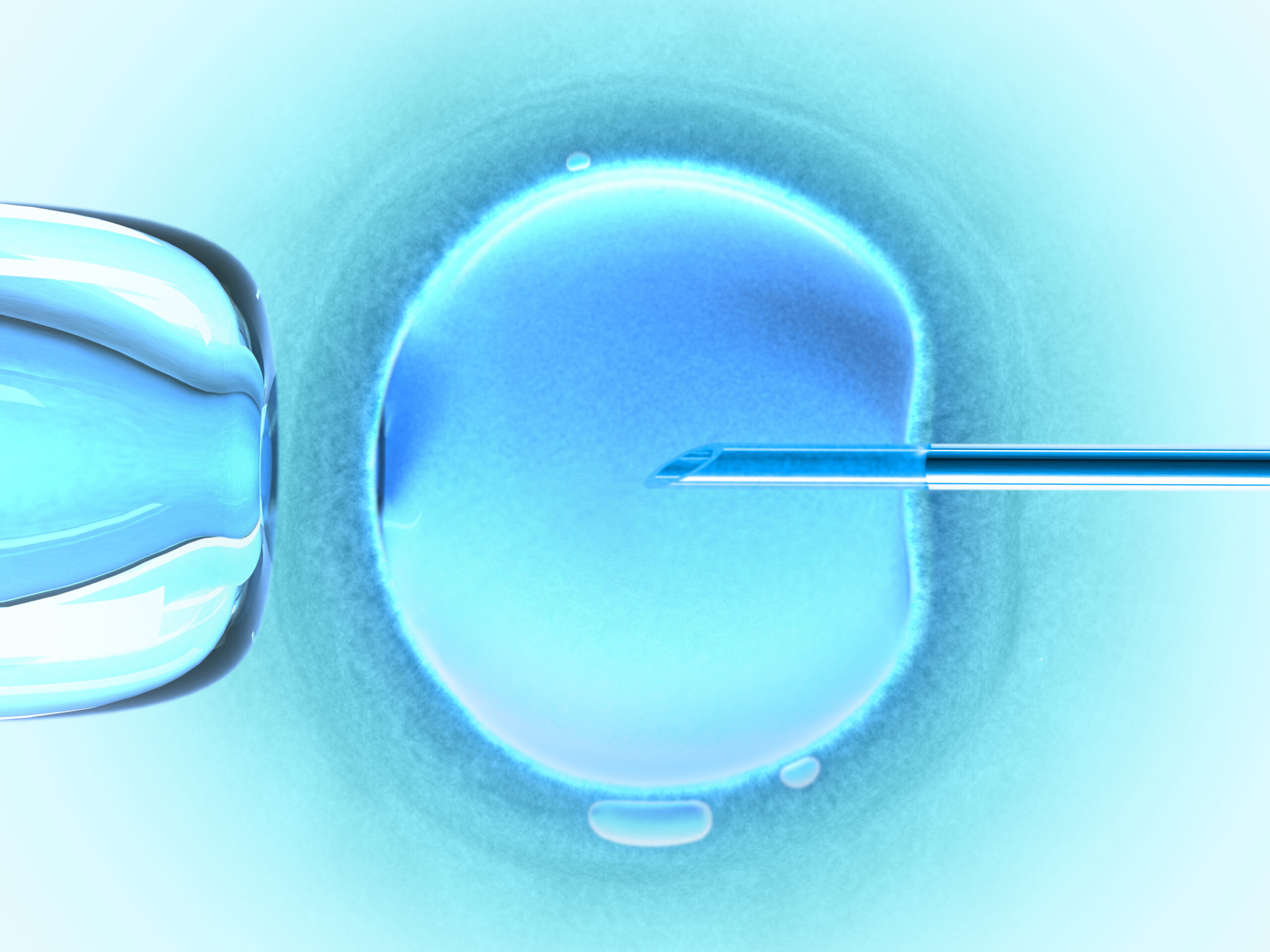 Closeup of embryo injection