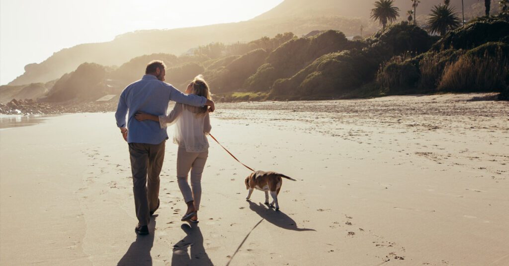 Elderly couple walking a dog along the beach