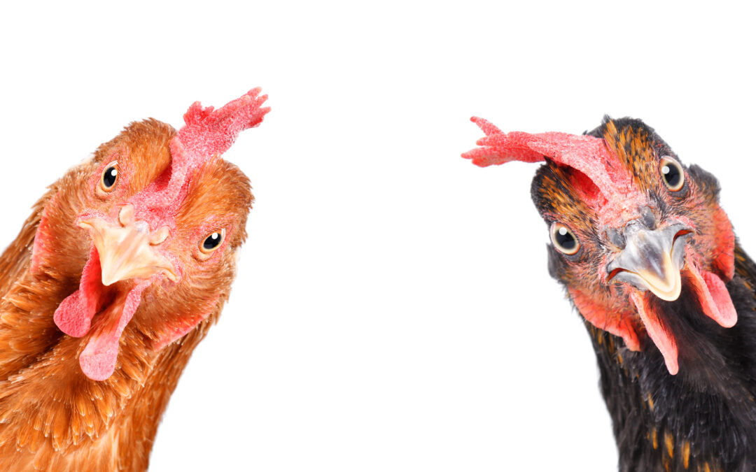 Harrison Poultry Data Breach
