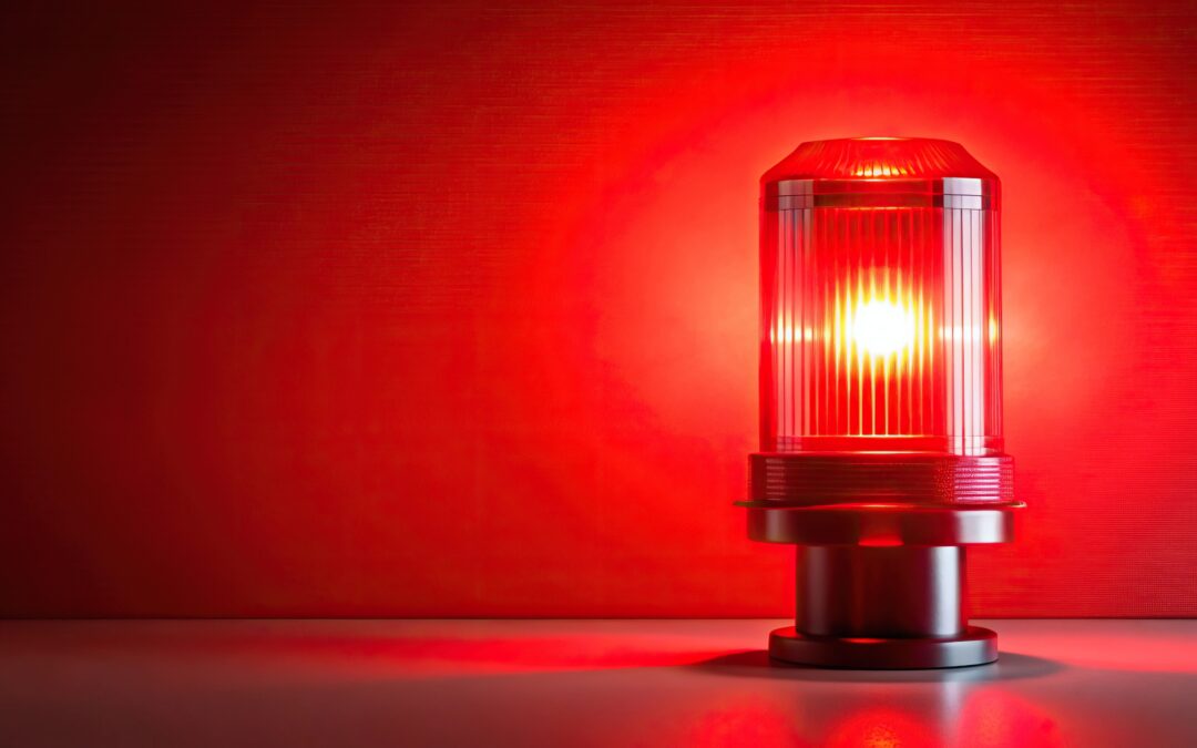 RedGifs Website Privacy Violations Investigation