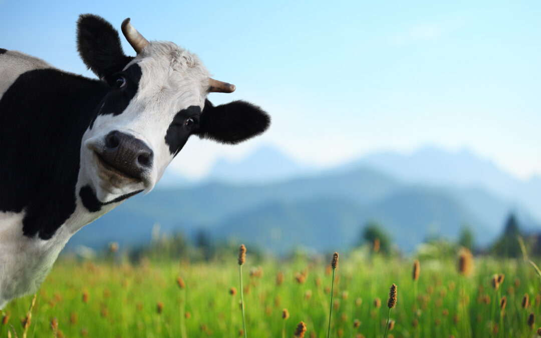 Pennsylvania Farm Bureau Data Breach