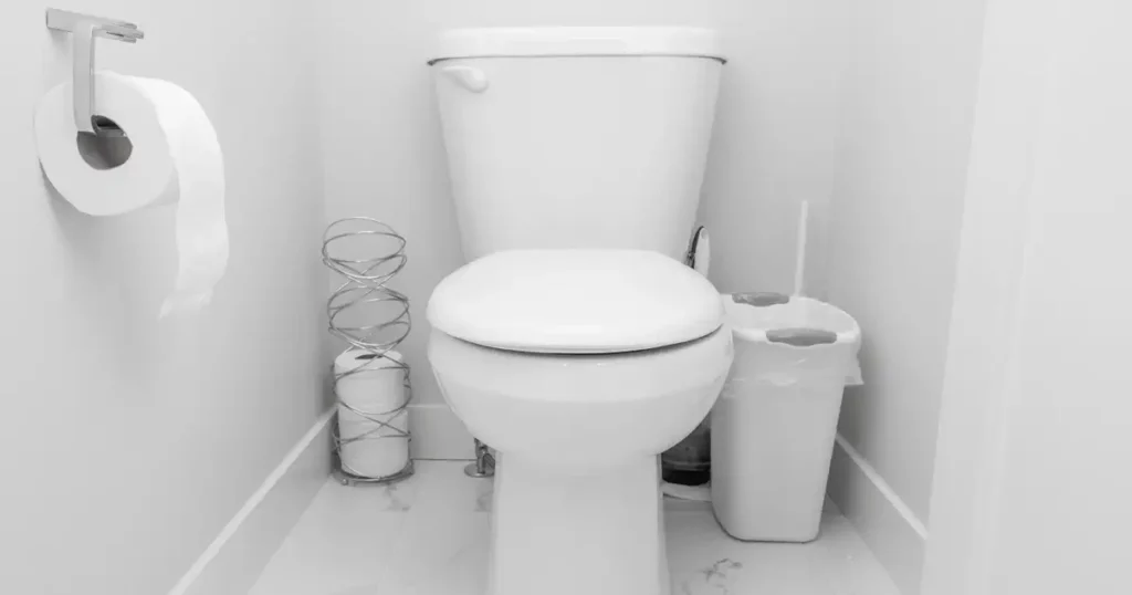 image of a toilet in a bathroom