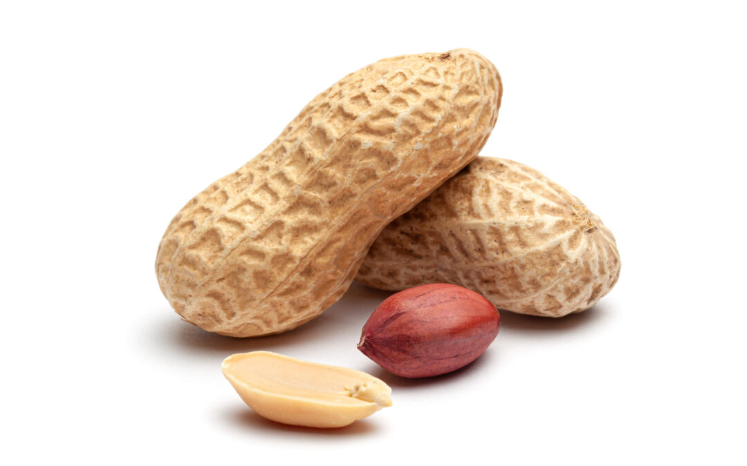 Birdsong Peanuts Data Breach
