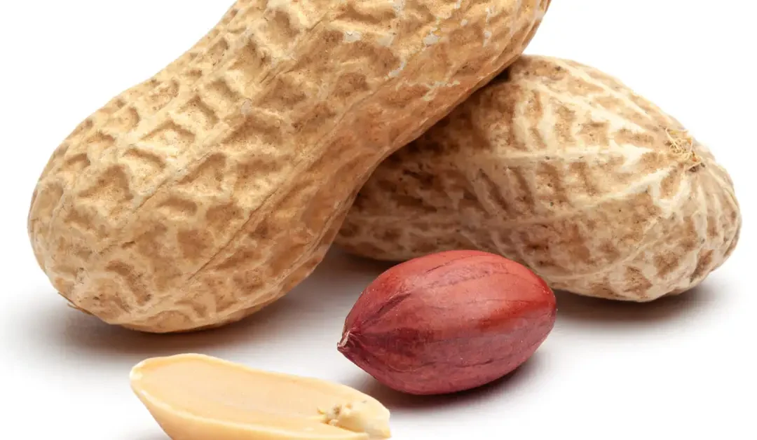 Birdsong Peanuts Data Breach