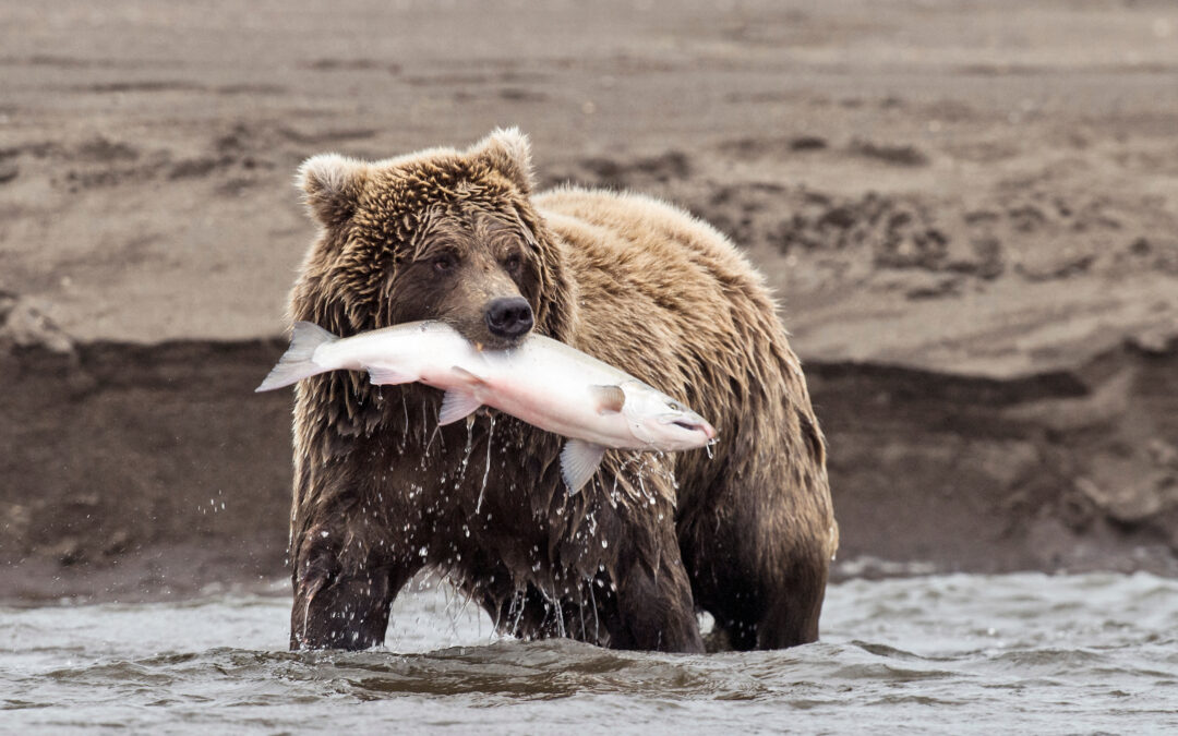 Ahtna, Inc. Data Breach