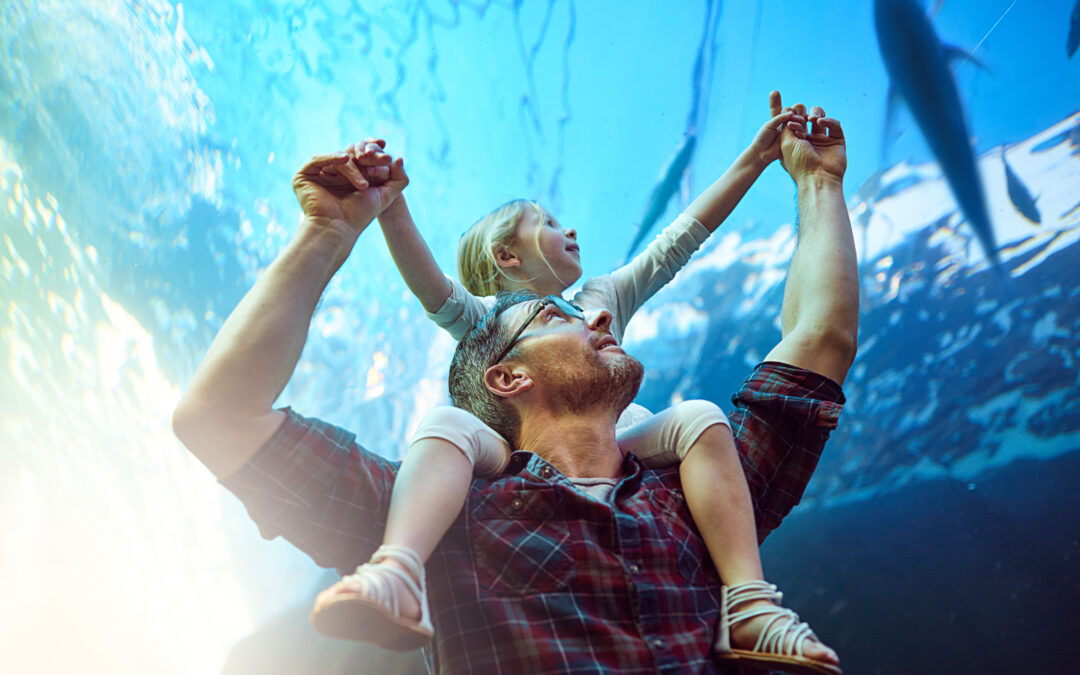 SSA Holdings, LLC Data Breach