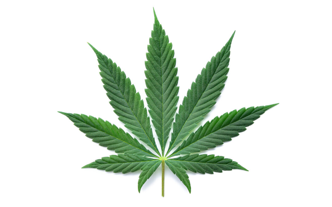 Bought Marijuana from an Online Medical Marijuana Website?