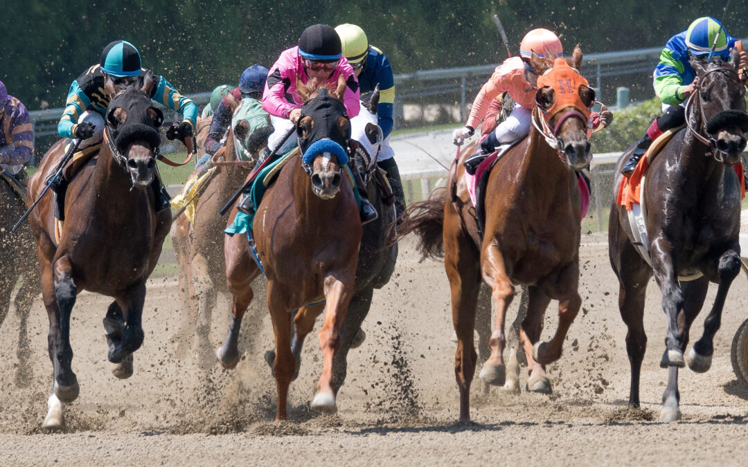 Running Aces Data Breach Investigation