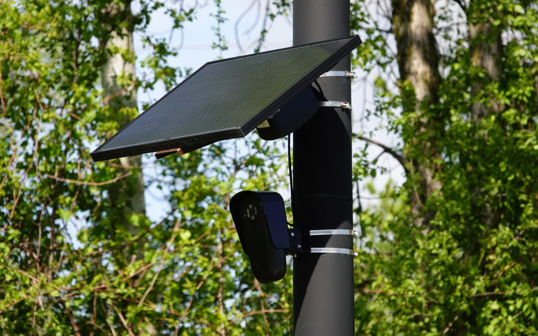 SHOPPED AT EASTLAND CENTER IN THE PAST YEAR?