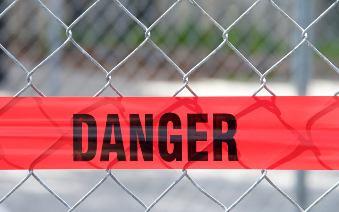 Wagner 900 Series Power Steamer Recall