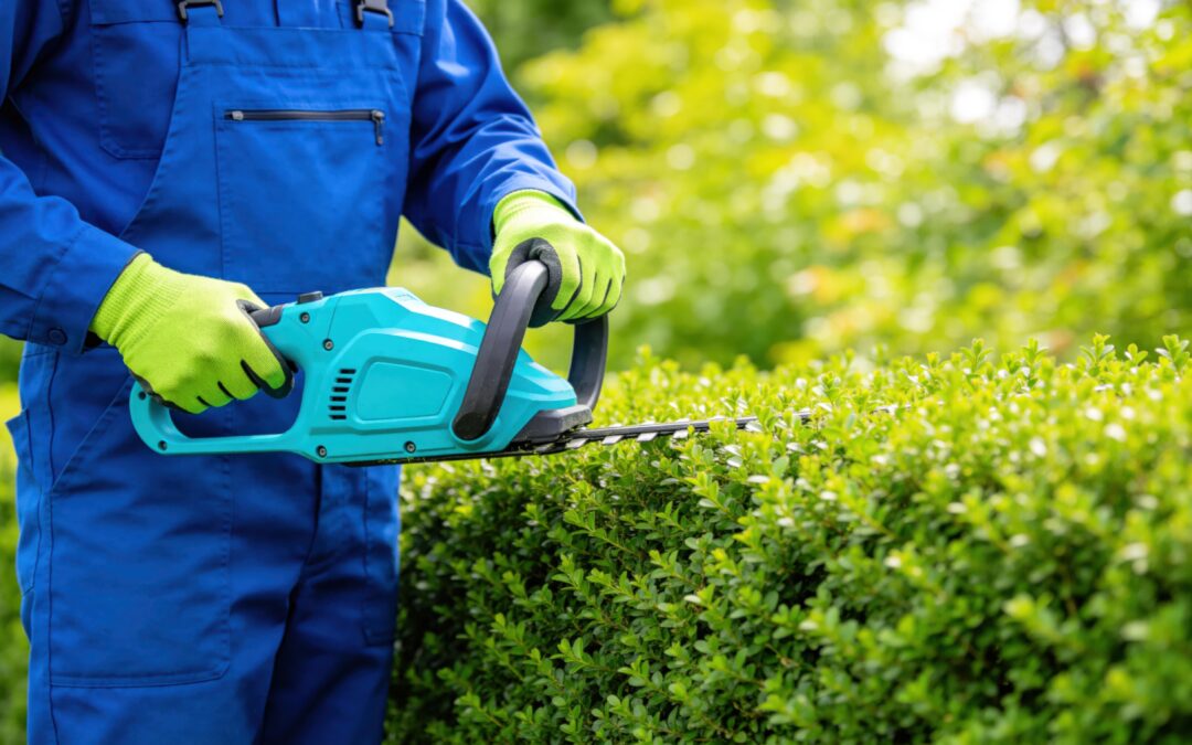 24V and 48V Kobalt Yard Power Tools with USB-C Batteries Recall